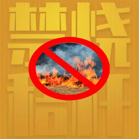 秸秆禁烧 违者必罚