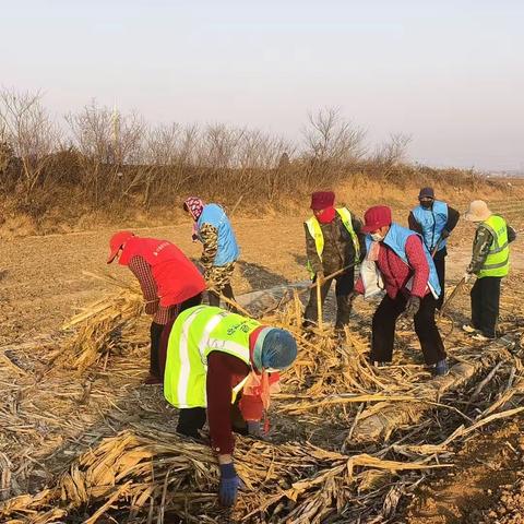 庙口镇：常态开展“清洁家园”，坚决打赢环境整治攻坚战