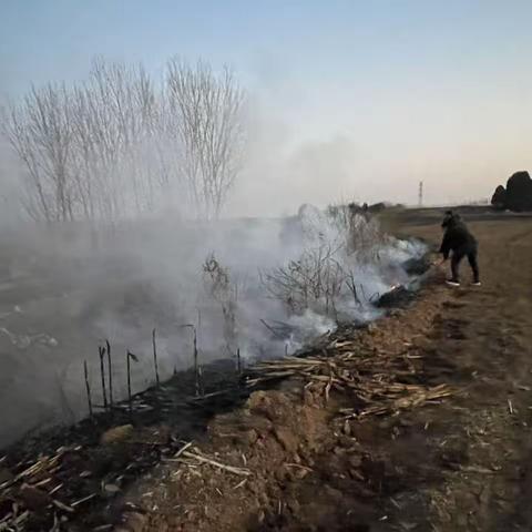 秸秆禁烧 违者必罚