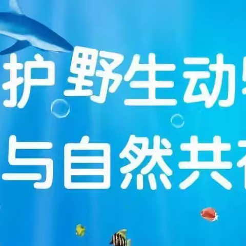 兴平市警民联动救助国家二级保护野生动物雀隼