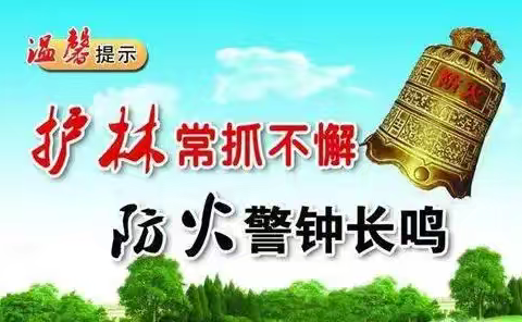 兴平市森林草原防火倡议书