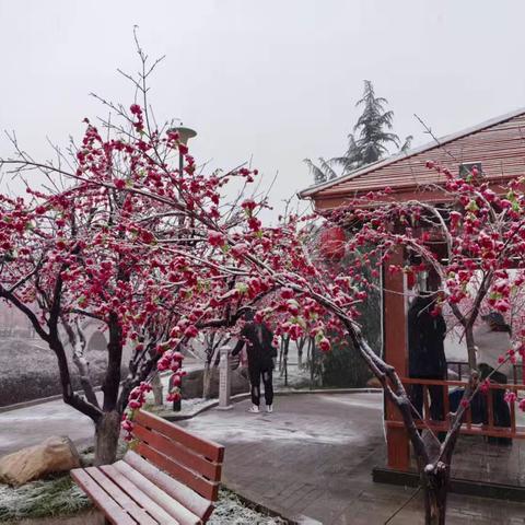 红梅映雪笑晏晏，春联送福迎新年