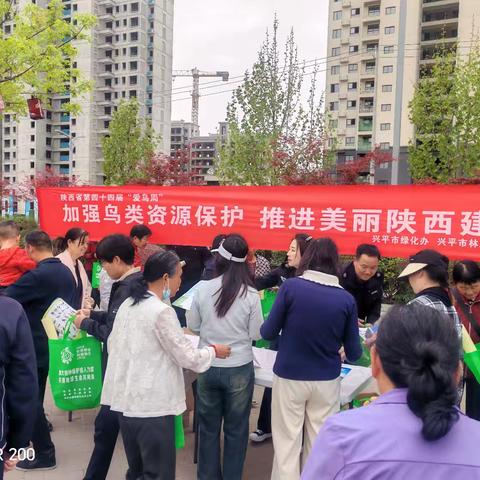 鸟语花香和谐路，保护鸟类正当时 一一一兴平市绿化办林业站开展“爱鸟周”专题宣传活动