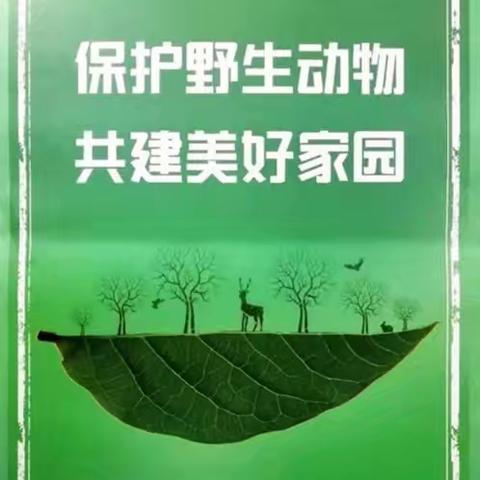 兴平民众爱心接力，救助野生动物麂子