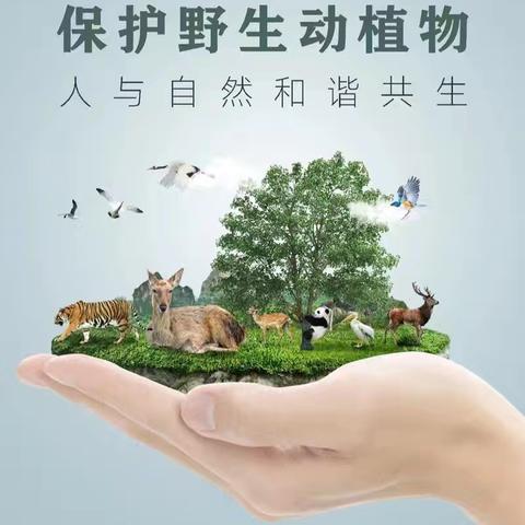 兴平市保护野生动植物倡议书