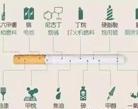 古典服饰博物馆“无烟佳节 与爱同行”宣传活动