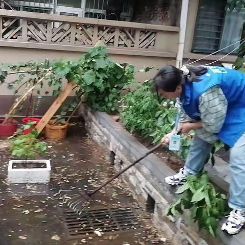 雨中暖心行 排水解民忧