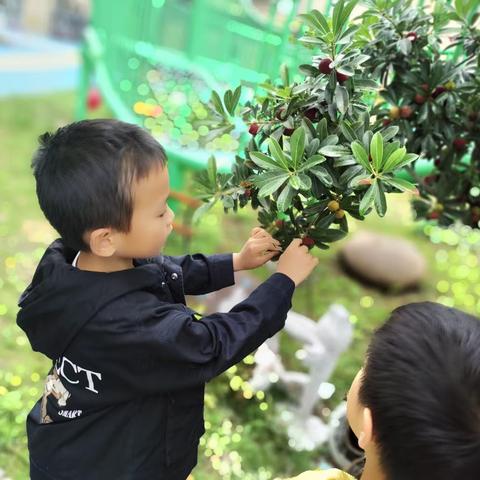 “趣”采摘啦！！——胜太东路幼儿园大二班采摘节活动