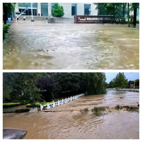 风雨中的坚守  责任铸就辉煌