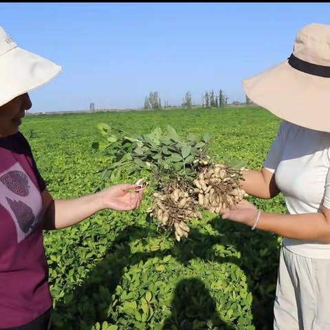 巾帼不让须眉 乡村振兴女能手陈梅