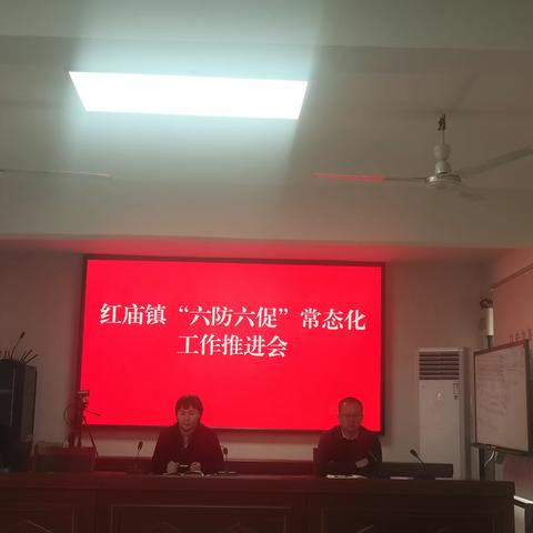 红庙镇召开“六防六促”常态化工作推进会