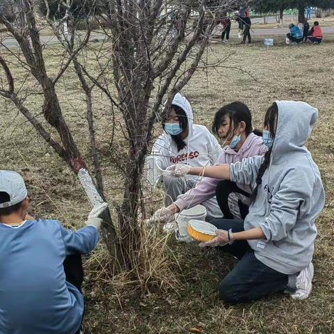 “世界卫生日，我们在行动”—昭苏县喀尔坎特学校世界卫生日活动