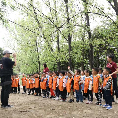 趣野森林派对