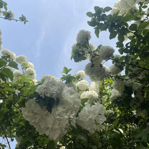 荣万家观湖景园物业服务中心二零二三年四月服务月报