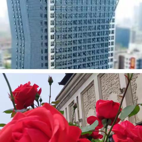 内强素质  外塑形象（二）