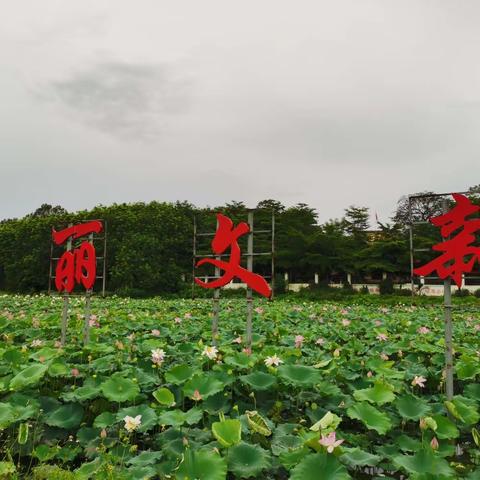 文新村委开展爱国卫生运动(2023年6月第二期)