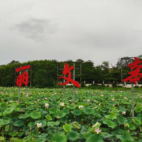 文新村委开展爱国卫生运动(2023年7月第一期)