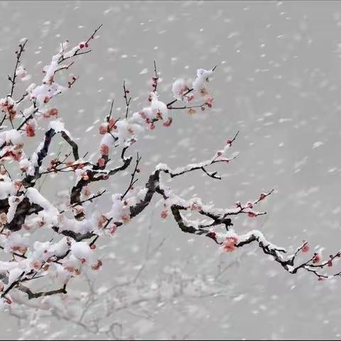 新年抒怀 ——滕州市诗词楹联学会诗词选粹