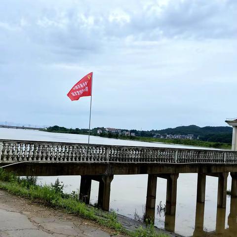 柘港乡：防汛一线党旗飘扬，党员干部尽显担当