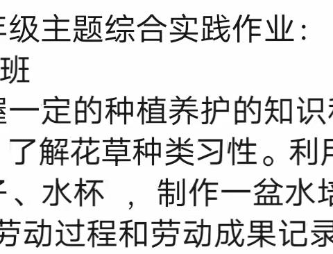 关爱学生幸福成长——邯郸冀南新区铁路小学六一中队队员植物养护实践活动