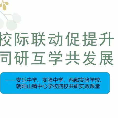 校际联动促提升，同研互学共发展——四校共研实效课堂