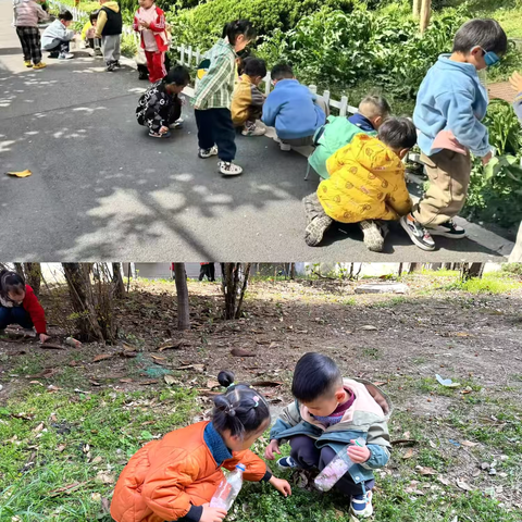 合肥市翡翠路幼儿园小班组社区活动——“瓶子里的春天”