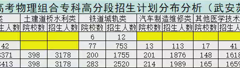 专科考生推荐专业（基于2024年河北省物理组合招生数据）