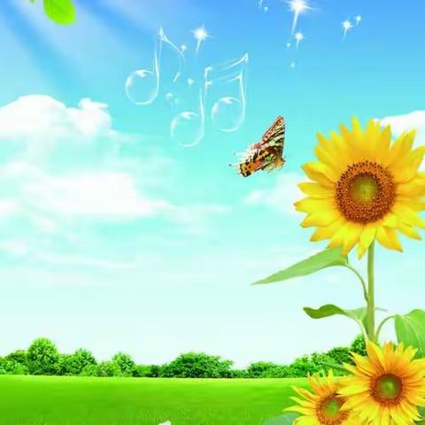 立足教学常态 实践磨砺促成长 —青山区小学道德与法治名师工作坊2025年上半年第五期活动纪实