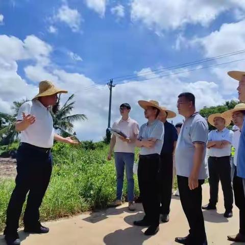 海口市林业局局长钱军调研海南东寨港（三江湾）生态修复项目工程进展及退塘还湿工作