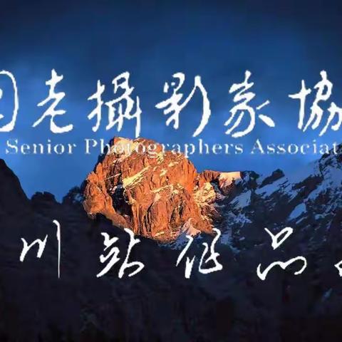 剑阁翠云廊（副本）