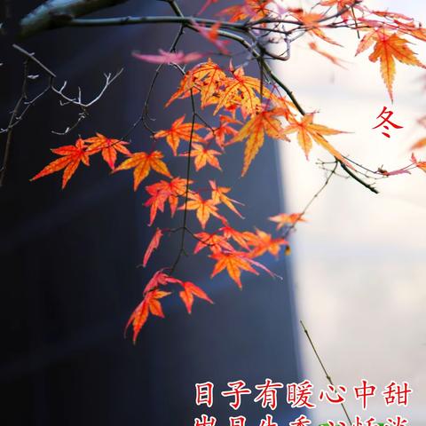 人心要大度 才能从容过生活 2025、12、4