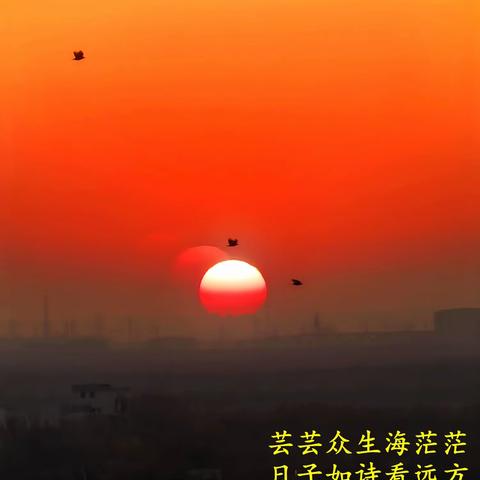 生活的味道 2025、12、5