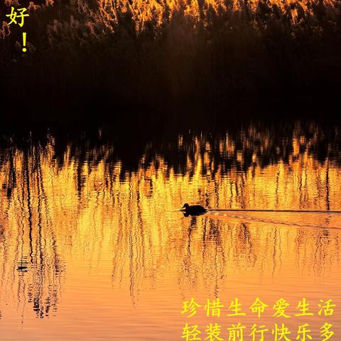 琐碎中的无力感 2025、12、6