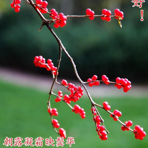 ‌于岁月的罅隙中，点亮独属的星辰 2025、12、10