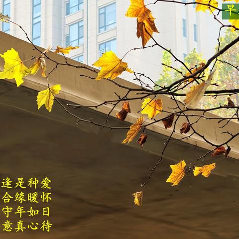 简简单单的日子 （一） 2025、12、11