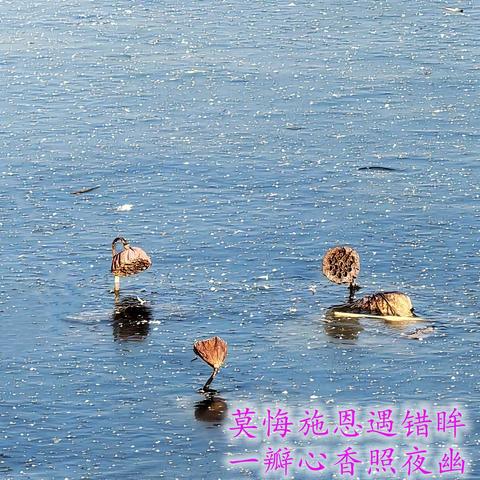 简简单单的日子 （二） 2025、12、12