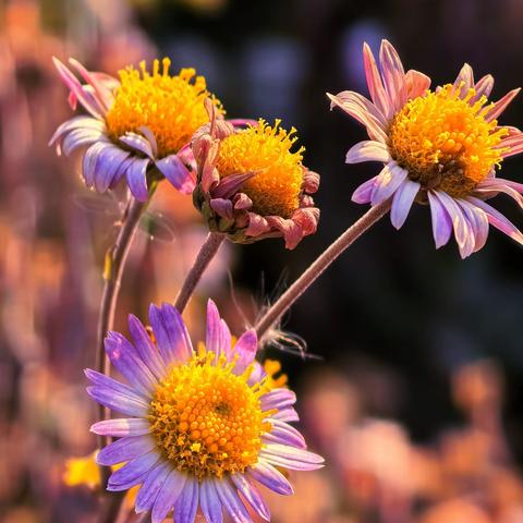 简简单单的日子 （三）  2025、12、13