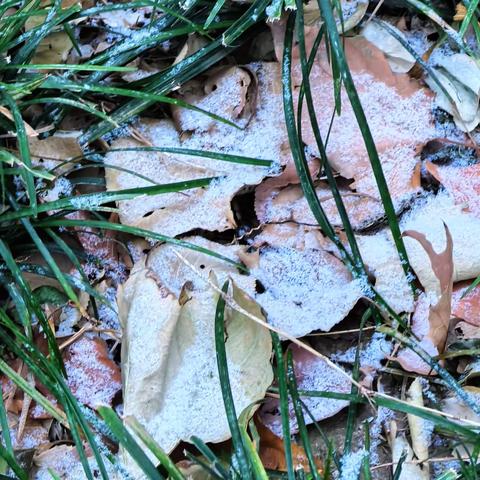 天津也下雪了 2025、12、13