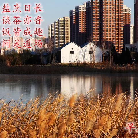 转身，是秋的谢幕 2025、12、17