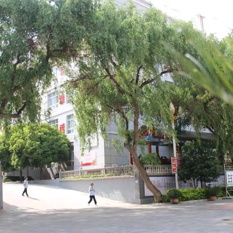 执绿同绘山水卷   筑梦再添陇上春 ----舟曲县初级中学师生积极开展国土绿化和义务植树活动