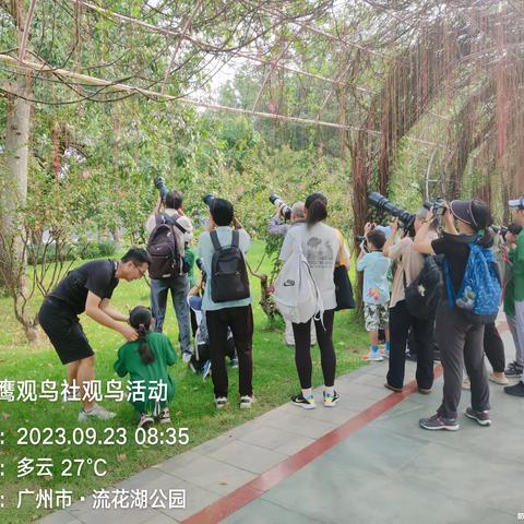 又一次让我加新的流花湖观鸟之旅