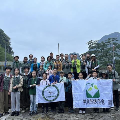 梦幻般加新的弄岗观鸟之旅