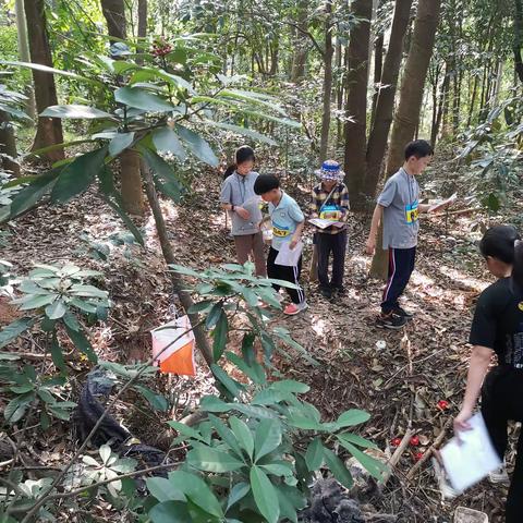 游隼队文创初体验：点标旗设计的尝试与实践摸索