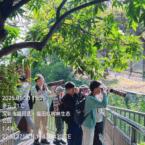 乙巳蛇年新春探秘：深圳香港观鸟奇遇记