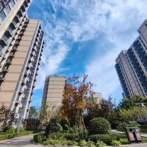 房山分公司尚林家园项目2025年10月份物业服务简报