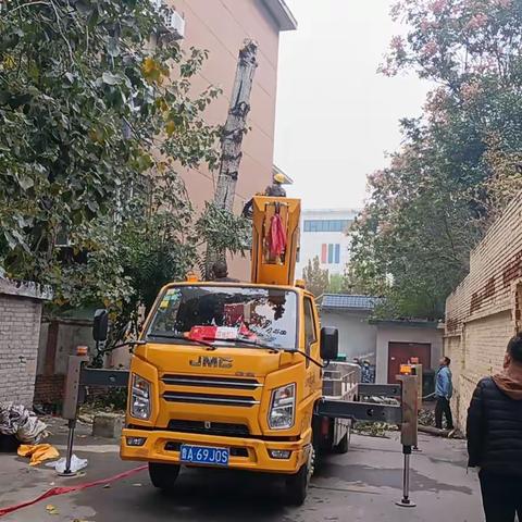 【佛山慧治】枯枝剪，暖人心 ——“枯枝忧” 引发的社区暖心联动