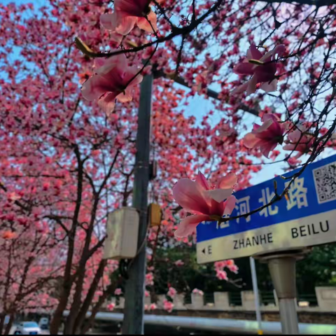 持续发力促提升 助力文明创建“加速跑”——新华区城市管理局创文进行时
