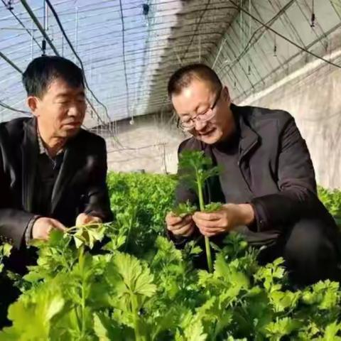 幸福东长寿  更美更宜居