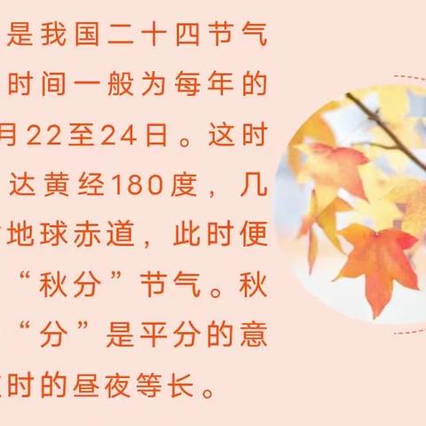 秋意渐浓 恰逢秋分——橡树湾小学附属幼儿园秋分节气活动