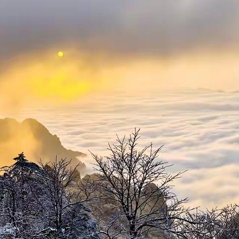 林晓东的文章